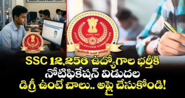 SSC 12,256 ఉద్యోగాల భర్తీకి నోటిఫికేషన్  విడుదల.. డిగ్రీ ఉంటే చాలు..  అప్లై చేసుకోండి!