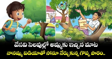 వేసవి సెలవుల్లో అమ్మకు ఇచ్చిన మాట.. నానమ్మ  ఐడియాతో సోనూ నేర్చుకున్న గొప్ప పాఠం..