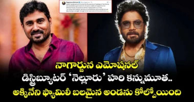నాగార్జున ఎమోషనల్: డిస్ట్రిబ్యూటర్ 'నెల్లూరు' హరి కన్నుమూత.. అక్కినేని ఫ్యామిలీ బలమైన అండను కోల్పోయింది