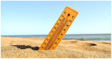 Andhra Pradesh Heatwave: మండుతున్న ఆంధ్రప్రదేశ్‌! 47 డిగ్రీలకు చేరువలో ఉష్ణోగ్రతలు! ఈ జిల్లావాసులు అవసరమైతే తప్ప బయటకు రావద్దు!