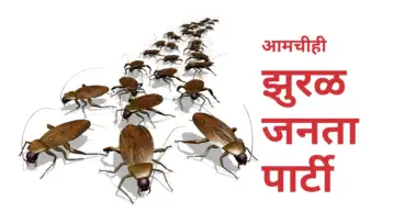 झुरळं विचारताहेत तुम्ही भारी की आम्ही?
