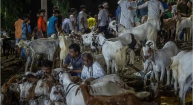 বকরি ঈদ - কিছু কথা ও কিছু আলোচনা