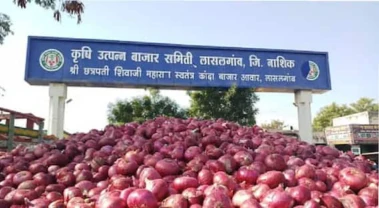 Onion Price Drop:  केंद्रीय कृषीमंत्र्यांच्या आश्वासनानंतरही कांदा उत्पादकांचा रोष कायम; लासलगाव बाजार समितीत शेतकऱ्यांचा एल्गार, नेमक्या मागण्या काय?