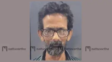 നാദാപുരത്ത് ബാലികയ്ക്കു നേരേ ലൈംഗിക അതിക്രമം ;പ്രതിക്ക് 11 വര്‍ഷം തടവും 20,000 രൂപ പിഴയും