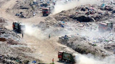 मुलुंड डम्पिंग ग्राउंडवरील बायो-रिमेडिएशन अंतिम टप्प्यात; ६० एकर जमीन होणार पुनर्प्राप्त