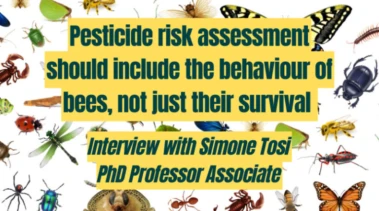 Pesticide Risk Assessment Should Look At The Behaviour Of Bees, Not Just Their Survival - Interview with Simone Tosi, PhD, Associate Professor