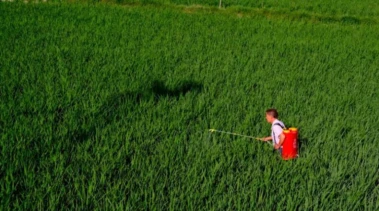 China's Fertilizer Trade Sees Strong Export Growth in Jan-April 2026, Potash Imports Remain Critical