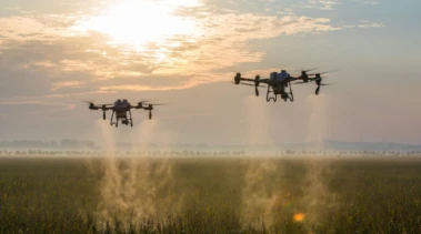 EU Pesticide Sales Rise 8% in 2024; Fungicides and Bactericides Account for 40% of Total Volume