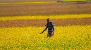 Agrochemical MSMEs in India May Suffer if Data Exclusivity Is Introduced: PMFAI