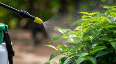 Licensing Process for Household Pesticide Sale and Storage Simplified, Benefiting 40 Lakh Retailers