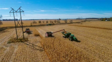 Australia Secures Strategic Urea Reserves Amid Middle East Supply Chain Disruptions