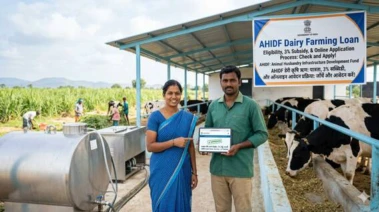 Dairy Farm Scheme: డెయిరీ ఫామ్ పెట్టాలనుకుంటున్నారా?.. 3% వడ్డీ రాయితీతో బ్యాంకు లోన్.. AHIDF స్కీమ్ అర్హతలు, అప్లై ప్రాసెస్