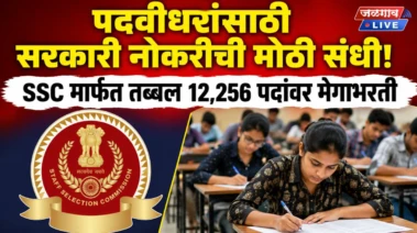 पदवीधरांसाठी सरकारी नोकरीची मोठी संधी! SSC मार्फत तब्बल 12,256 पदांवर मेगाभरती