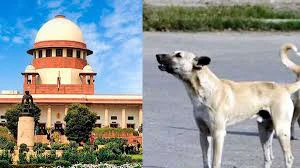 सुप्रीम कोर्ट सख्त: स्कूल, अस्पताल और रेलवे स्टेशन से हटाए जाएंगे आवारा कुत्ते