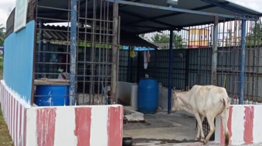 சென்னை சிறுசேரி மாசிலாமணீஸ்வரர் சிவன்கோயில்!
