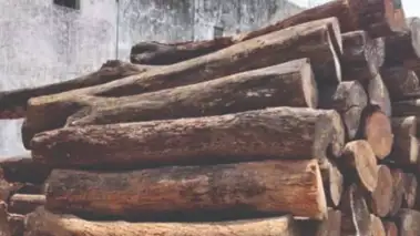 ഗ്യാസിന് വില കൂടിയത് നേട്ടമായത്   ഇവയ്ക്ക്,   ഒരു ടണ്‍ വിറകിന് കൊടുക്കണം 8500 രൂപ