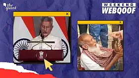 WebQoof Recap: Of Misinformation Around Cockroach Janta Party, SRK & More
