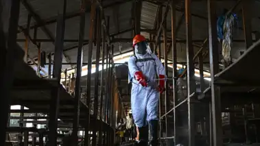 Uganda shuts border with DR Congo as cases of rare Ebola type surge