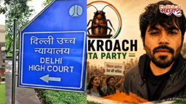 Cockroach Janata Party : 'क्रॉकोच जनता पार्टी'ला हाय कोर्टाचा झटका; सुनावणीत काय घडलं?