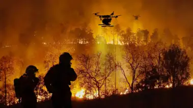 2025 wildfires were costliest on record despite smaller global burn area, study says