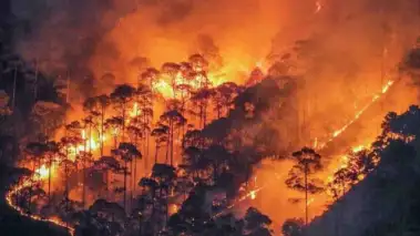 Himachal Forest Fire: हिमाचल के जंगलों में भड़की भीषण आग से करोड़ों का नुकसान, 232 फायर केस, 2900 हेक्टेयर वन क्षेत्र प्रभावित