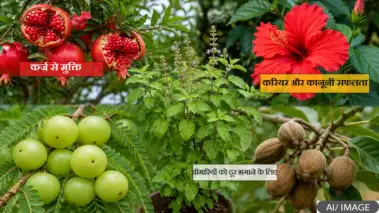 Miracle Plants: ये 9 चमत्कारी पौधे जो बदल देंगे आपकी जिंदगी: सुख, समृद्धि और स्वास्थ्य का प्राकृतिक खजाना