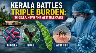 Kerala Battles Triple Burden: Shigella, Nipah And West Nile Cases