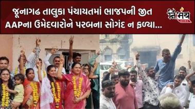 Junagadh તાલુકા પંચાયતમાં જોવા મળ્યો હાઈવોલ્ટેજ ડ્રામા, ગોપાલ ઇટાલિયાનું ના ચાલ્યું અને ભાજપે કર્યો કબ્જો