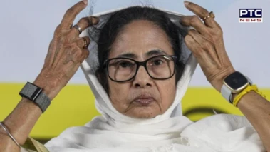 Mamata Banerjee, Abhishek support viral Cockroach Janta Party amid online buzz