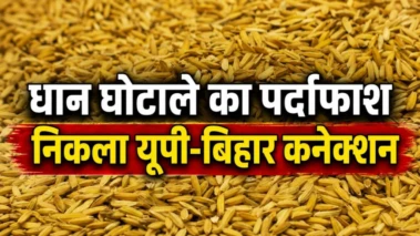 करनाल धान घोटाले में बड़ा खुलासा, इस तरह हुआ फर्जीवाड़ा का खेल.. 5 अधिकारी बर्खास्त