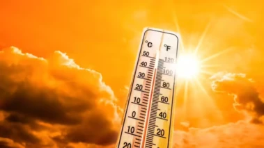 Delhi Under 'Yellow' Heatwave Alert: Yellow, Orange, Red - What Different Weather Warning Colours Mean?