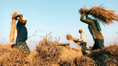 इस राज्य के किसानों को मिल सकता है 30 जून से पहले फसल कर्ज माफी का तोहफा, सिबिल को लेकर क्या बोले CM?