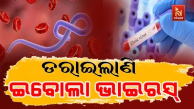 ପୁଣି ଡରାଇଲାଣି ଇବୋଲା ଭାଇରସ୍. ଗଲାଣି ୮୭ରୁ ଉର୍ଦ୍ଧ୍ବ ଜୀବନ
