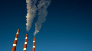Over 40 scientists warn against push for agri-methane 'temperature neutrality'