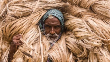 पश्चिम बंगाल के जूट उद्योग पर संकट, कच्चे माल की कमी से बंद होने की कगार पर कई मिलें