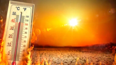 Telangana Heatwave: తెలంగాణలో ఎండ తీవ్రత, వడగాలులతో జనం విలవిల... నేడు ఈ జిల్లాలకు ఆరెంజ్ అలర్ట్