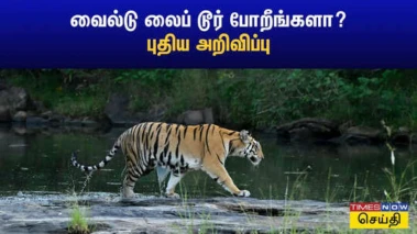 Tiger Reserve Travel Alert: வைல்ட் லைப் டூர் போறீங்களா? புலிகள் சரணாலயத்தில் மொபைல் ஃபோன்களுக்கு அனுமதி இல்லை... முழு விவரங்கள்