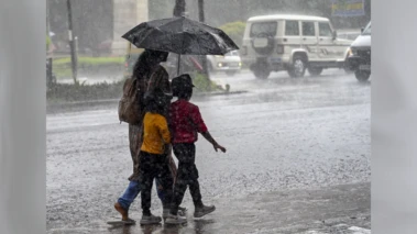 Beed News: बीडमध्ये वादळी वाऱ्यासह मुसळधार; झाड कोसळून शेतकऱ्याचा मृत्यू