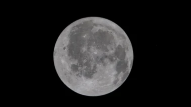 আর্টেমিস ২: চাঁদের অন্ধকার পিঠের অভূতপূর্ব ভিডিও শেয়ার করলেন মাস্ক