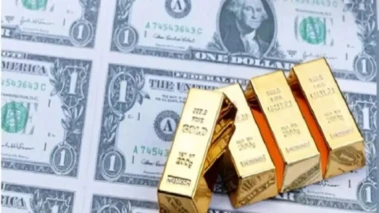 Forex Reserves : దేశ ఖజానాకు భారీ గండి.. ఒకే వారంలో 8 బిలియన్ డాలర్ల విదేశీ మారక నిధులు మాయం.