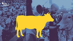 Bengal: Muslims Become Cow Protectors, Hindu Traders Demand Cattle Slaughter