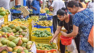 ಮಾವು ಉತ್ಪಾದನೆ ಕುಂಠಿತ , ನೆರೆ ರಾಜ್ಯಗಳಿಂದಲೂ ರಫ್ತು ಇಳಿಮುಖ ; ಬೆಳೆಗಾರರು, ಗ್ರಾಹಕರಿಗೆ ಕಹಿ