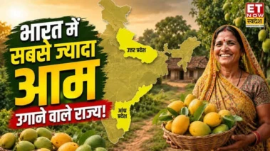 भारत में सबसे ज्यादा आम का उत्पादन किस राज्य में होता है? जानिए टॉप राज्यों की लिस्ट