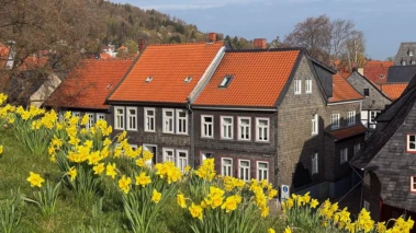 A summer's day in Goslar