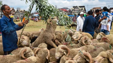 Eid-ul-Adha: Goats up to ₹5 Lakh, Bulls worth ₹12 Lakh; Inflation dampens festive spirit Ahead of Bakrid