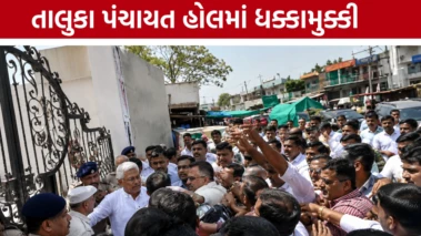 વડગામ તાલુકા પંચાયત ચૂંટણીમાં બબાલ: કોંગ્રેસ-ભાજપ કાર્યકરો વચ્ચે ધક્કામુક્કી, પોલીસ માટે સ્થિતિ કાબૂમાં લેવી મુશ્કેલ