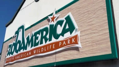 Parents Charged After Toddler Injured in Wolf Encounter at Hersheypark Zoo