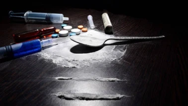 Hydroponic weed worth Rs 48 crore seized from two Thai nationals at IGI Airport