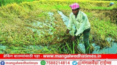 जमीन हडपण्याची भीती संपली! शेतजमीन भाडेपट्ट्यासाठी सरकारचा नवा कडक कायदा; या' नव्या नियमामुळे पडीक जमिनी ओलिताखाली येणार