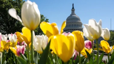 News in Pics | April 8, 2026: Best photos from around the world